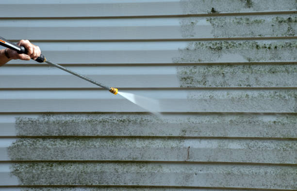 Best Animal Enclosure Cleaning  in Mount Hore, WI